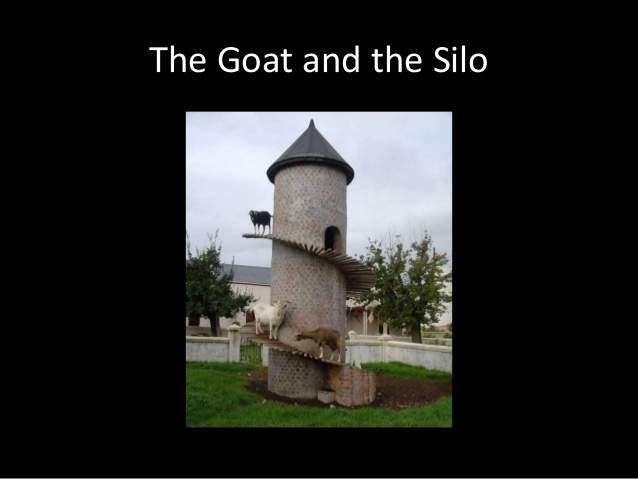 the goat and the silo 50 638